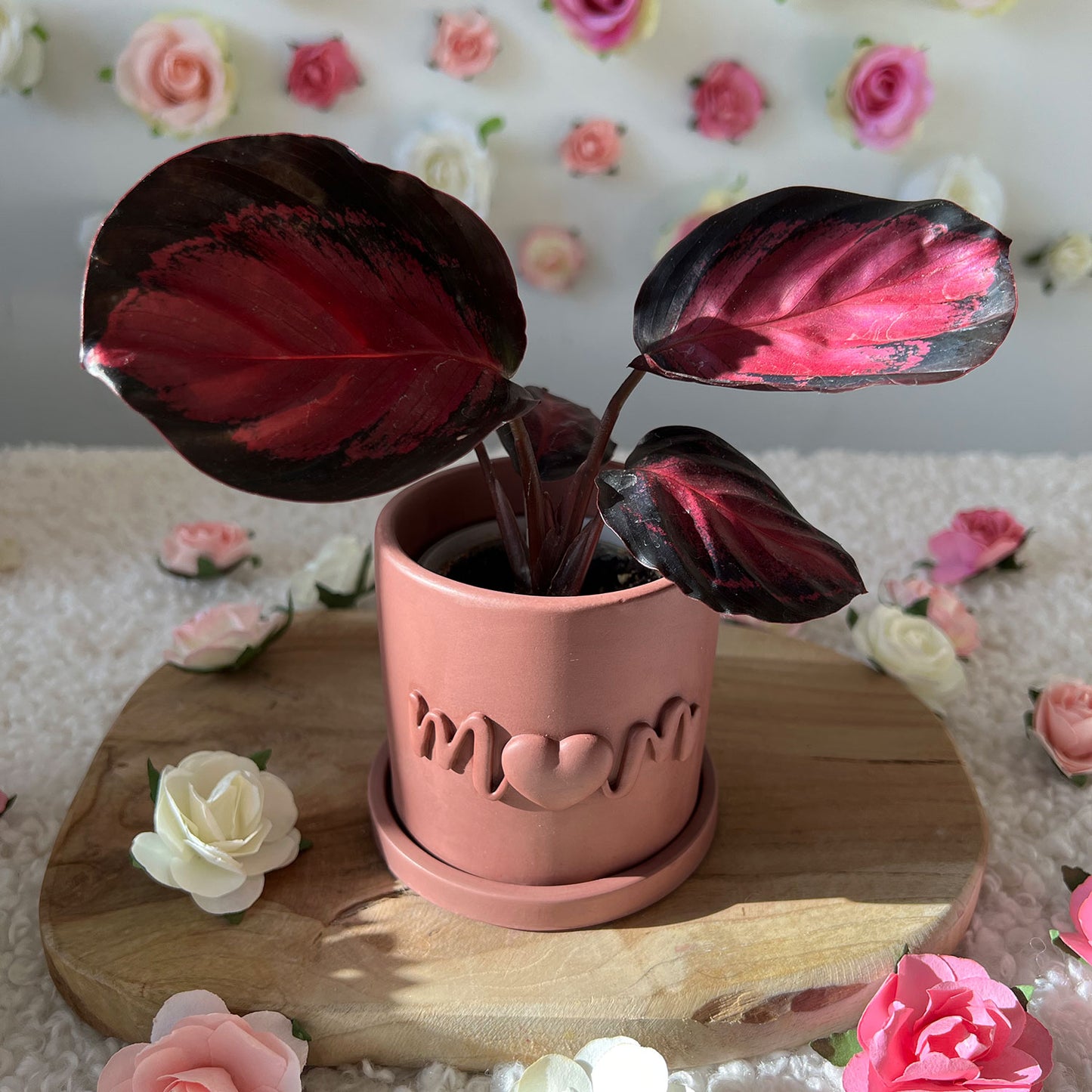Cache pot fait main Maman "Mom" Prune