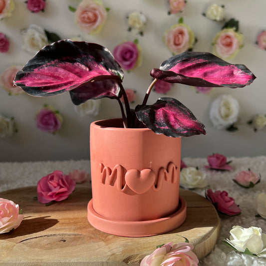 Pot fleur Maman fait main "Mom" Rose