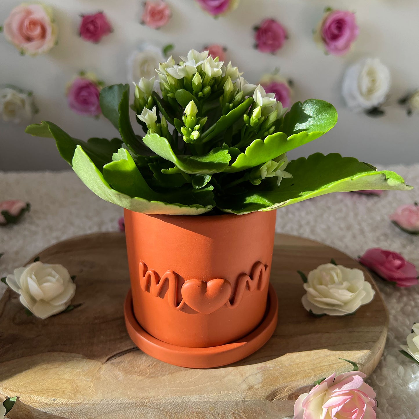 Cache pot Terracotta Maman "Mom" fait main