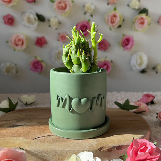 Pot fleur fait main Maman "Mom" vert