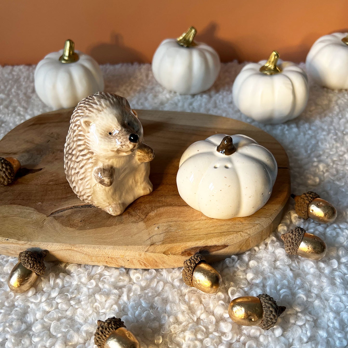 Salière et poivrière originale d'Automne Hérisson et citrouille