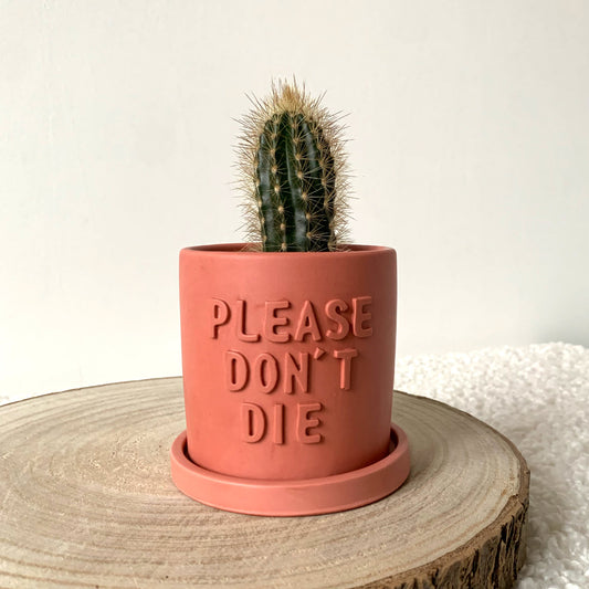 Cache-pot plante "Please don't Die" avec soucoupe Iris Rose