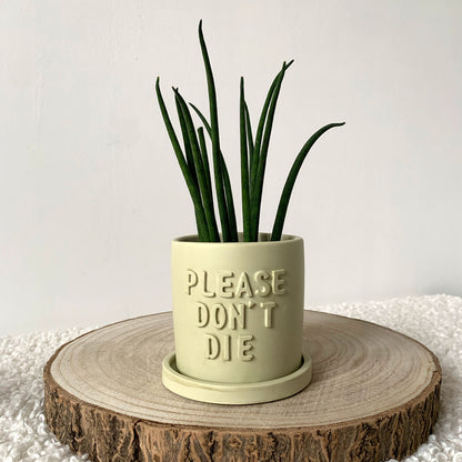 Cache-pot "Please don't Die" avec soucoupe Iris Vert pastel