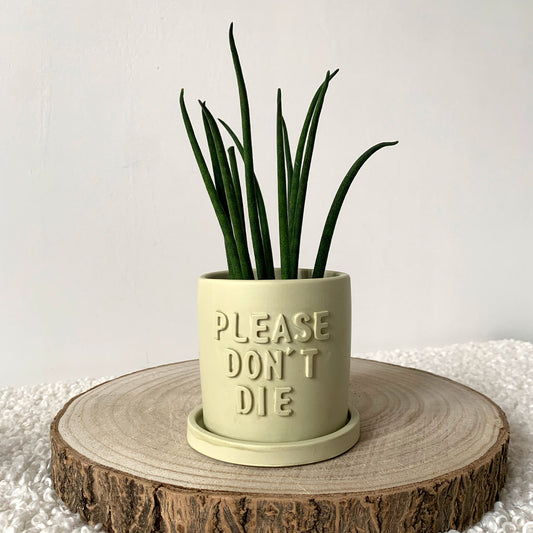 Cache-pot "Please don't Die" avec soucoupe Iris Vert pastel