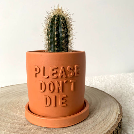 Cache-pot avec soucoupe fait à la main Iris "Please don't Die" Corail