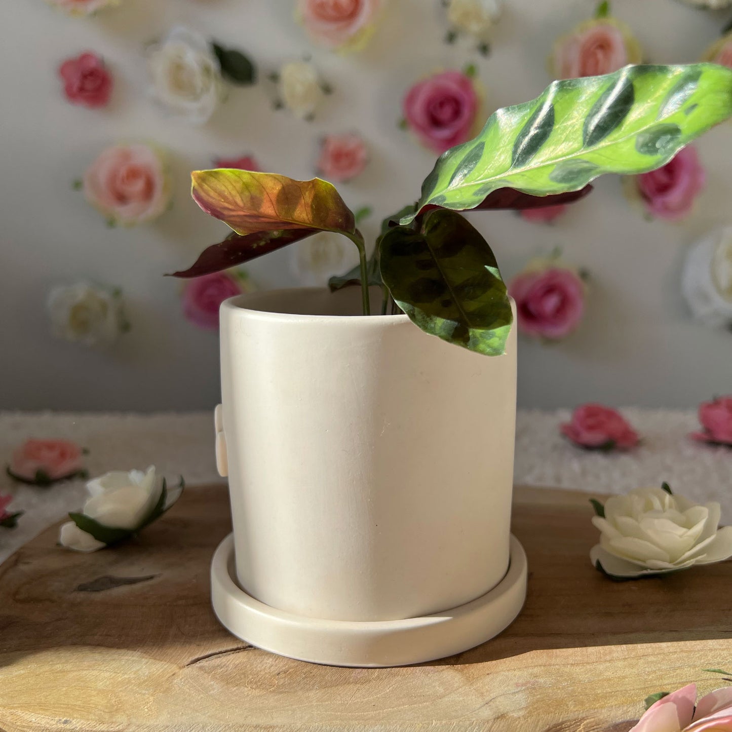 Cache pot fait main Maman "Mom" blanc