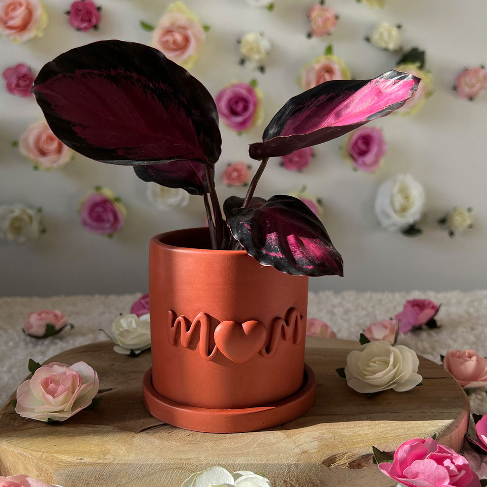 Cache pot fait main rouge Maman 